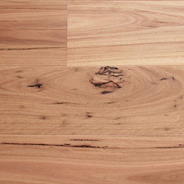 flooring_timber_latitude25,